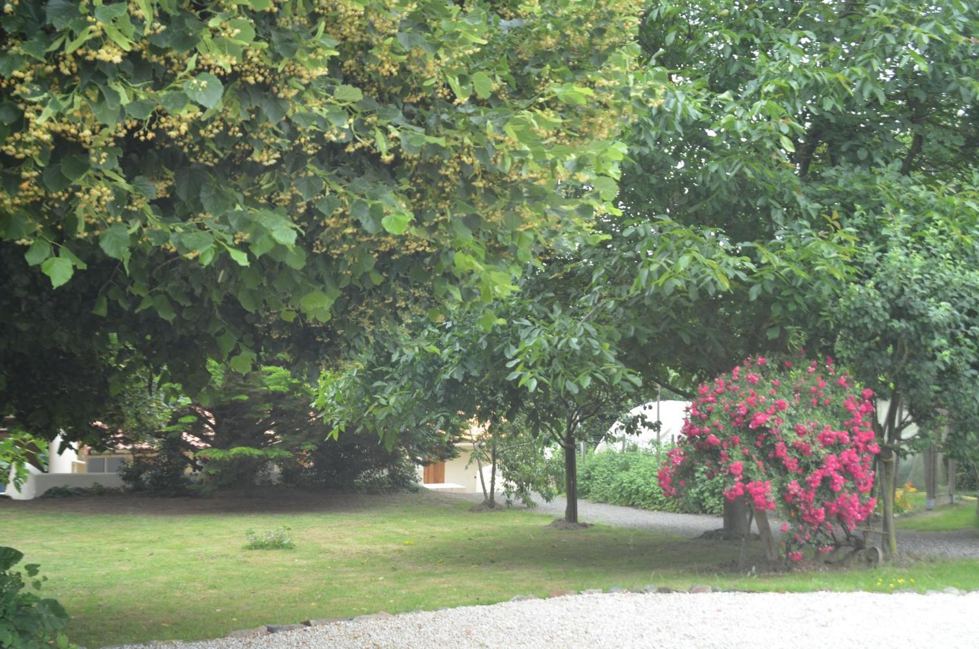 Chambres d'Hôtes La Forterie Vairé Extérieur photo